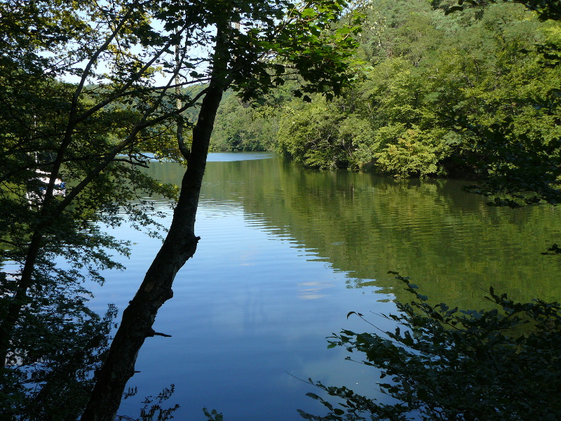 Edersee - Banfe Bach - Nationalpark Kellerwald