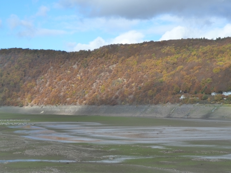 Eichen an der Kalen-Hardt