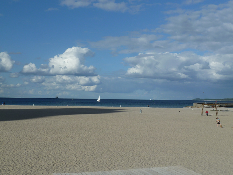 Kräne im Hamburger Hafen