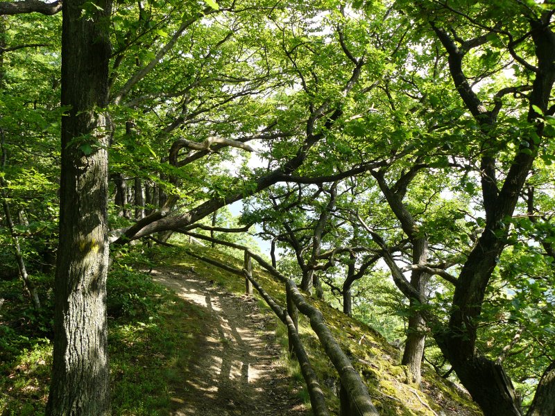 Edersee Höhenweg über der Kahlen Hardt