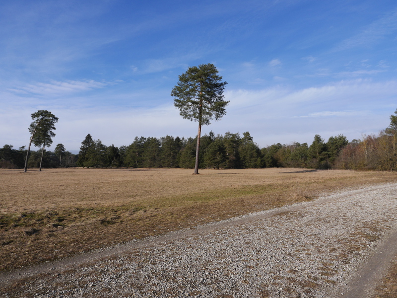 Mallertshofener Heide